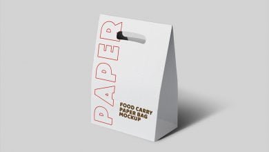 Take-away Paper Bag Mockup Set