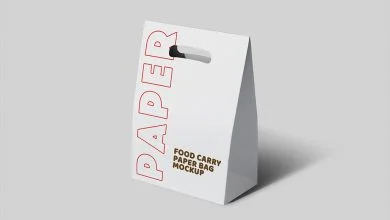 Take-away Paper Bag Mockup Set