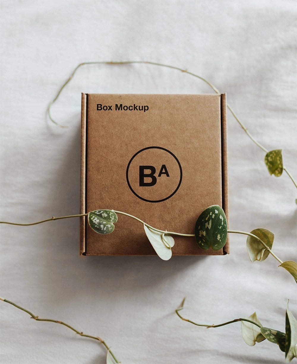 Elegant Craft Paper Box – Free PSD Mockup